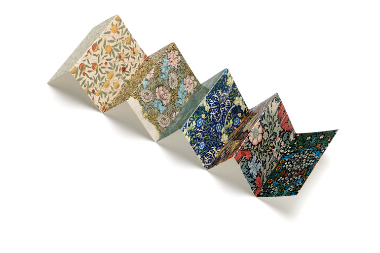 Concertina 9 Postcard Set