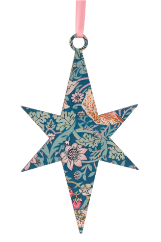 PRE-ORDER 2D Star Decoration
