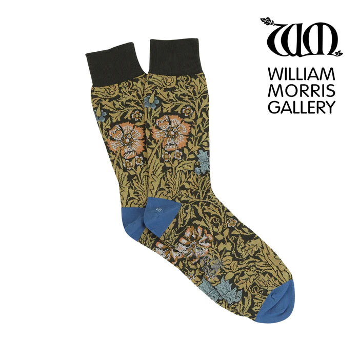 Compton Men's Socks (2 sizes available)