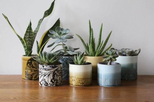 DESIGNER EDITIONS | Emma Lacey Exclusive May Morris Collection