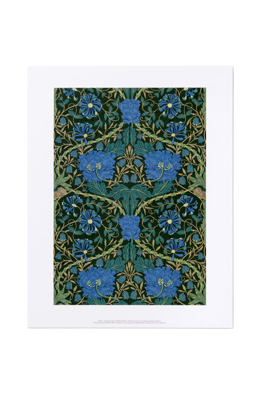 Green March A3 Print for Liberty of London