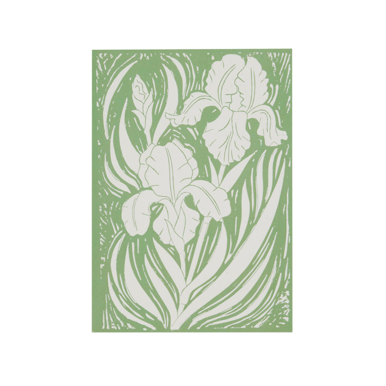 Rory Hutton Earthly Paradise Set of 8 Postcards