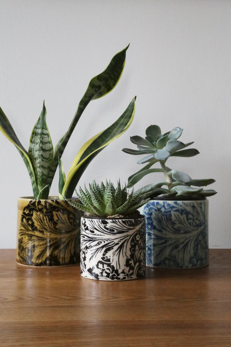 May Morris Arcadia Screen Printed Planters by Emma Lacey