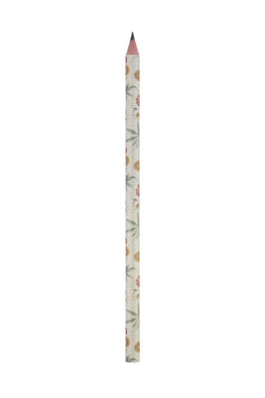 Daisy Pencil
