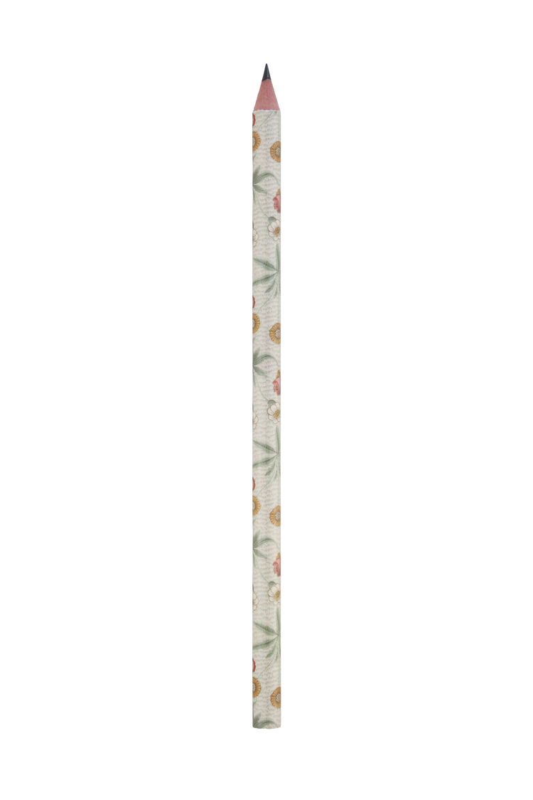 Daisy Pencil