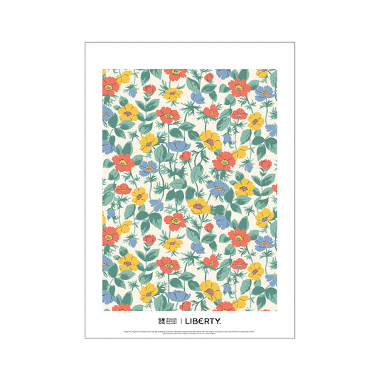 Cassia Pru A3 Print by Pru Roskrow for Liberty London