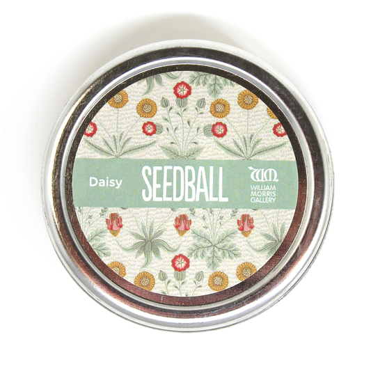 Seedball Wildflower Mix - Daisy