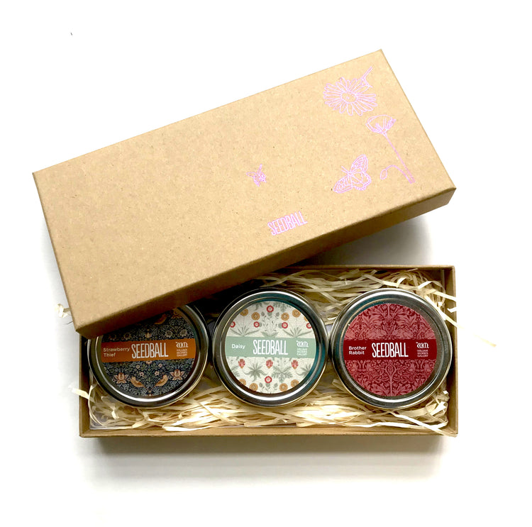 Seedball - Gift Set