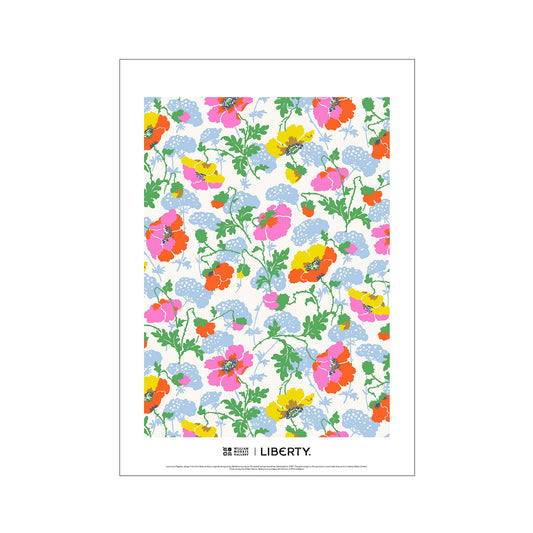 Lawrence Poppies A3 Print by Madeleine Lawrence for Liberty London