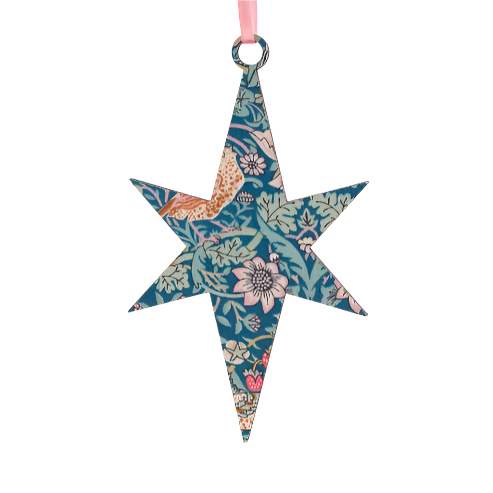 2D Star Decoration