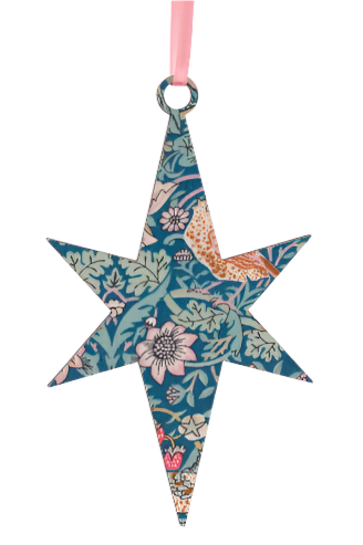 2D Star Decoration