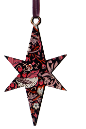 2D Star Decoration