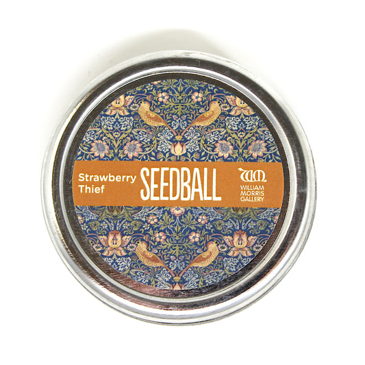 Seedball Wildflower Mix - Strawberry Thief