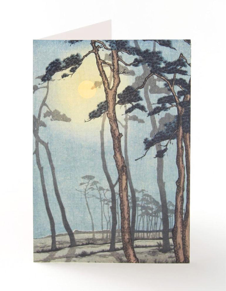 Bournemouth in Moonlight Greetings Card