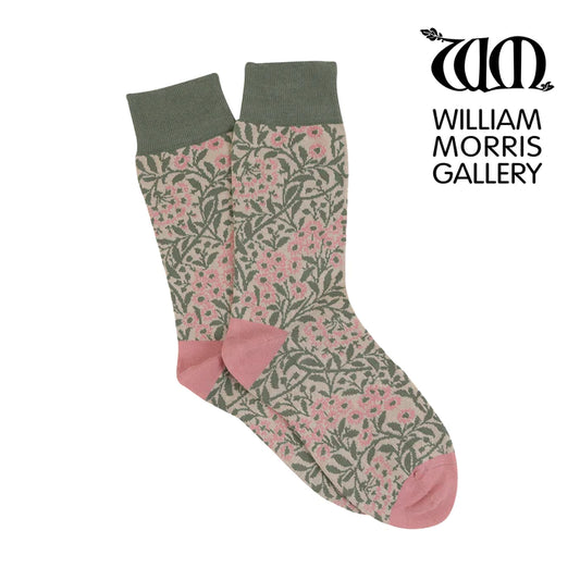 Michaelmas Daisy Pastel Women's Socks (2 sizes available)