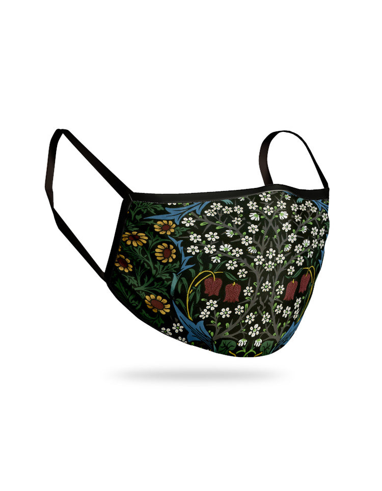 Fabric Face Mask (various designs)